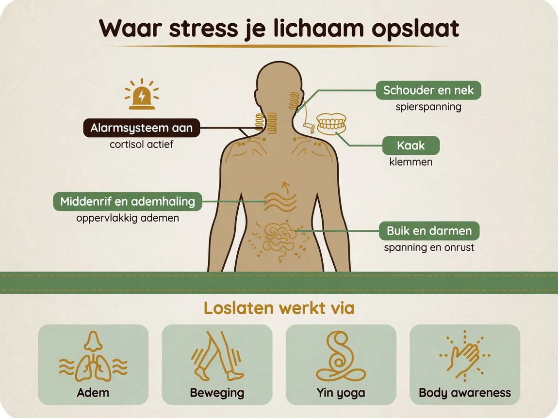 Infographic: Infographic in Spiriators huisstijl (amber #a66b29, saliegroen #50957a, aardbruin #372c23, crèmekleu