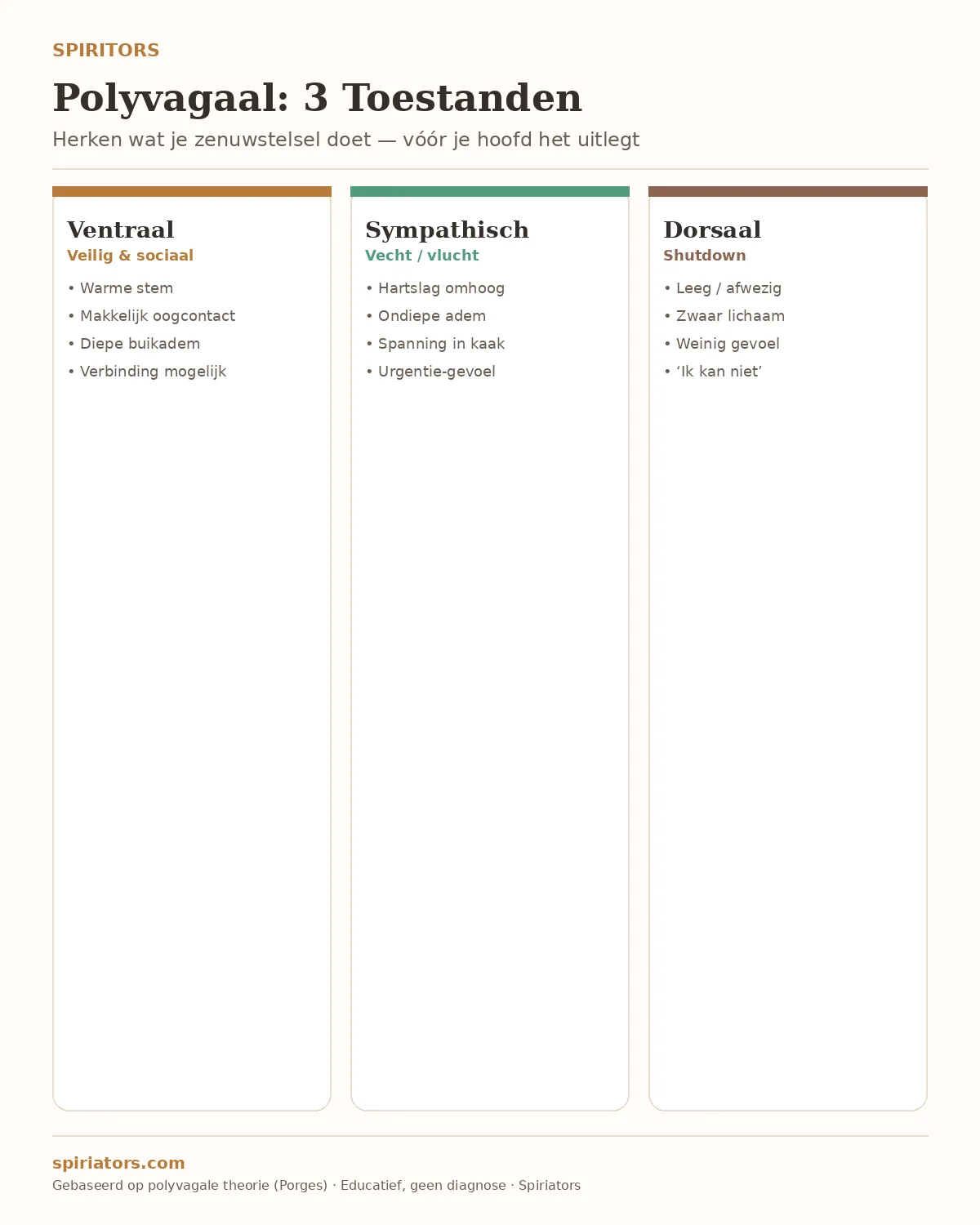 Infographic: polyvagaal theorie — ventraal, sympathisch en dorsaal in één overzicht